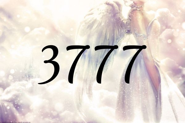 天使數字3777的含義是『您正在被大師正確地引導著』