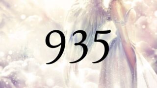 天使數字935的含義是『您的人生將會發生變化。』