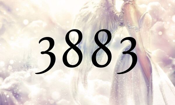 天使數字3883的含義是『富饒將會被帶到您的身邊』