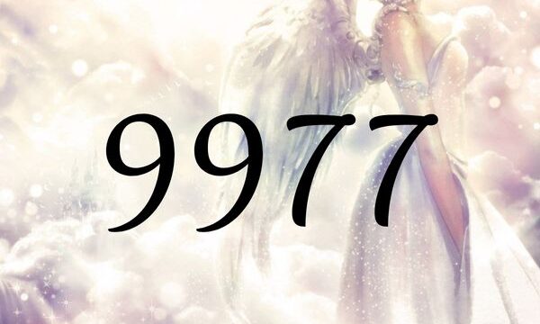 天使數字9977的含義是『您所做的一切都是來自宇宙的意思』