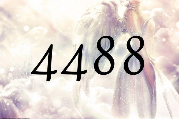 天使數字4488的含義是『天使們帶來了財務方面的支持』