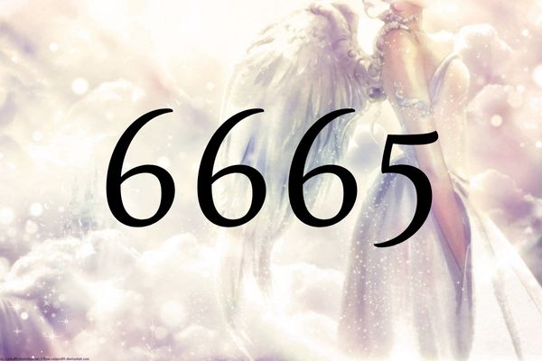 天使數字6665的含義是『請將您的關心從物質轉移到精神上面來吧。』