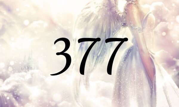 天使數字377的含義是『您前進在了正確的道路上』