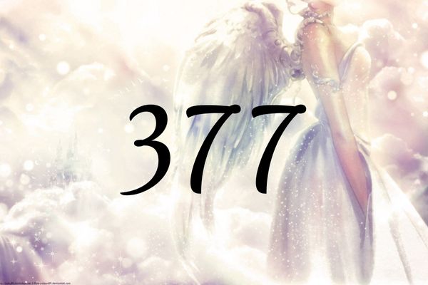 天使數字377的含義是『您前進在了正確的道路上』