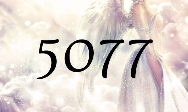 天使數字5077的含義是『您所要做出的改變可以引導您走向正確的道路。』