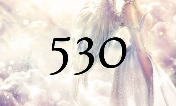 天使數字530的含義是『揚昇大師們會賦予您所必要的睿智。』