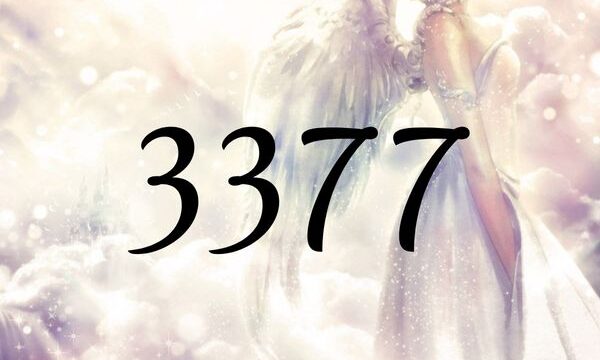 天使數字3377的含義是『您與揚昇大師一起在正確的道路上』