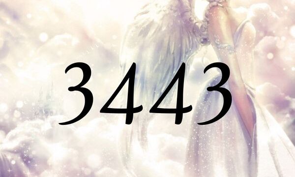天使數字3443的含義是『請更多依靠圍繞在您身邊的天使吧』