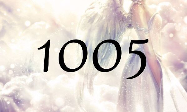天使數字1005的意義「挑戰新變化和機會」