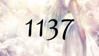 天使數1137的意義 「天使支持您保持正向思維」