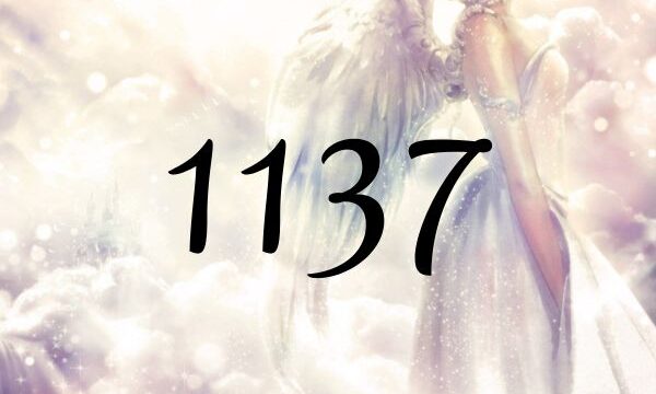 天使數1137的意義 「天使支持您保持正向思維」