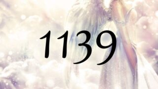 天使數1139的意義 「相信您的直覺和內在知識」