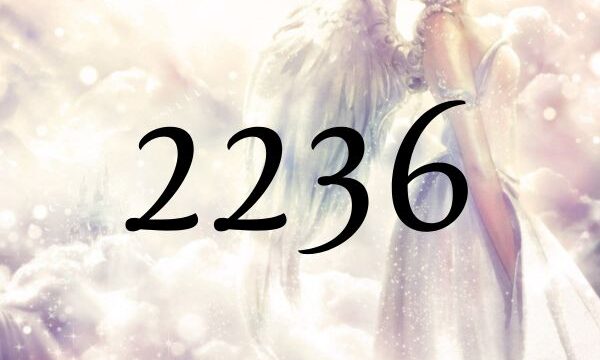 天使數字2413的含義是『請相信無法可見的存在吧』