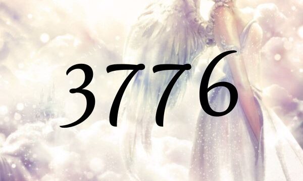 天使數字3776的含義是『您所需要的事物已經快要到來』